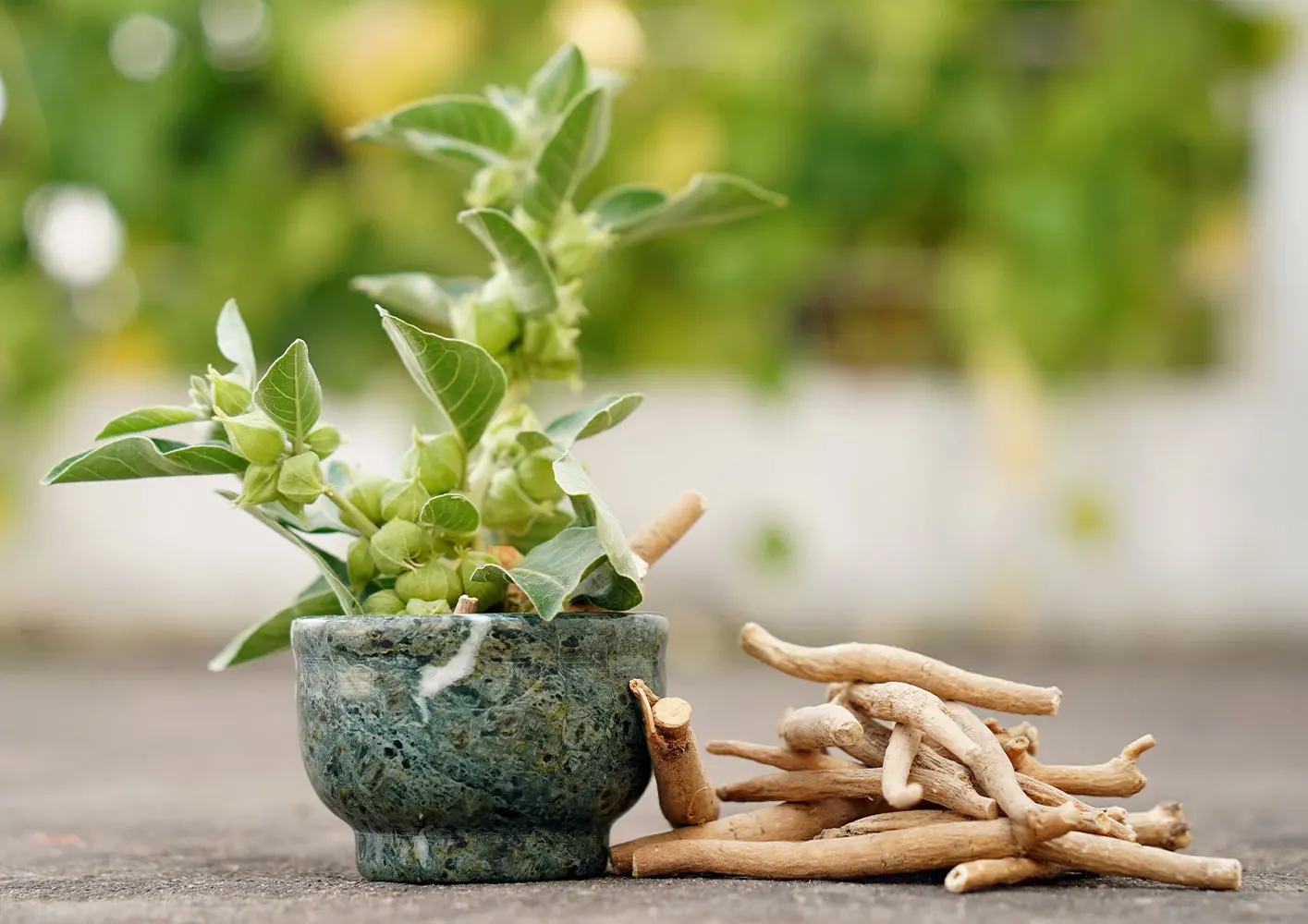 Ashwagandha (Withania somnifera) in stress management